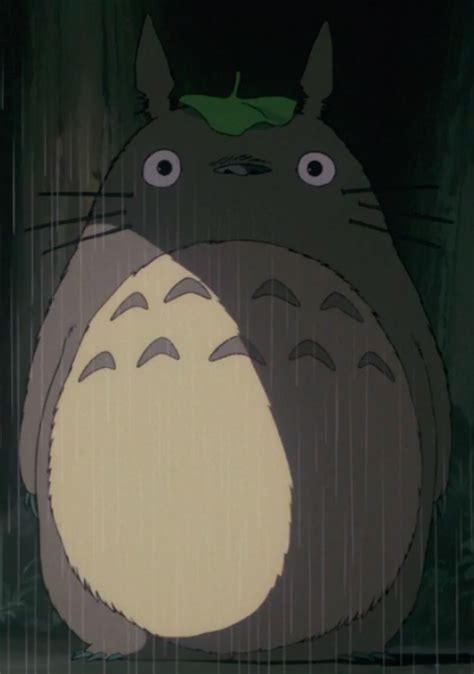 Totoro Ghibli Wiki Fandom Vlrengbr