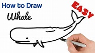 how to draw a whale step by step easy - Sharyl Limon