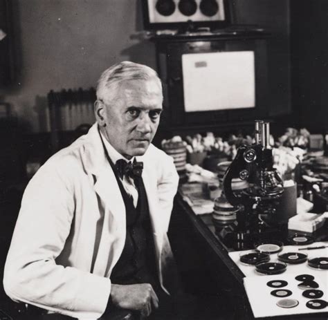 September Alexander Fleming Entdeckt Penizillin Welt