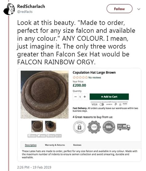 Breeders Use Falcon Sex Hats To Collect Bird Semen Daily Mail Online