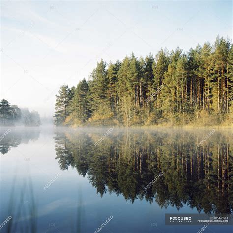 Forest Trees Reflecting In Lake Water — Nobody Misty Stock Photo