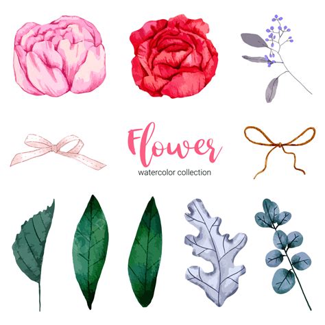 Watercolor Flower Collection Vector Art Png Collection Of Watercolor