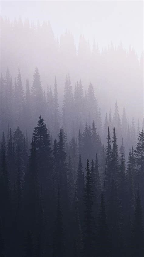 2160x3840 Forest Mist Sony Xperia Xxzz5 Premium Hd 4k Wallpapers