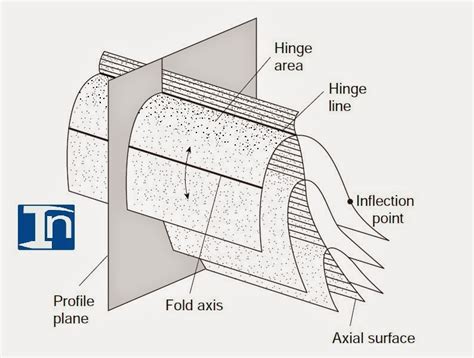 The Terminology Of A Fold