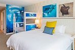 Winter the Dolphin Themed Rooms | Clearwater Marine Aquarium