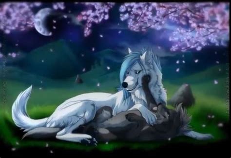 Anime Wolves Wolf Mates Canine Drawing Anime Wolf Drawing Fantasy Wolf Wolf Love Anime