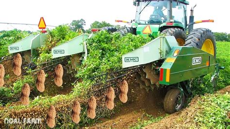 Peanut Harvesting Machine How To Harvest Peanut In Farm Modern Agriculture Technology Youtube