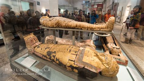 Egyptian Mummies British Museum London United Kingdom 28305