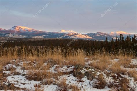 Winter Wilderness Landscape Yukon Territory Canada — Stock Photo