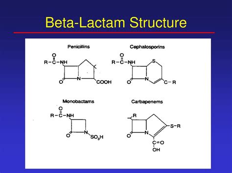 B Lactam Antibiotics Names