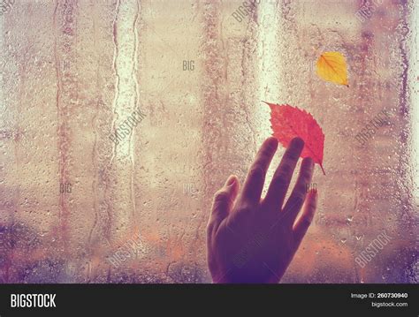 Sad Autumn Background Image And Photo Free Trial Bigstock