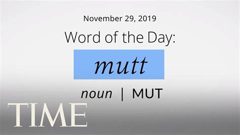 Word Of The Day Mutt Merriam Webster Word Of The Day Time Youtube