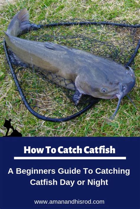 How To Catch Catfish Guide For Beginners A Man And His Rod