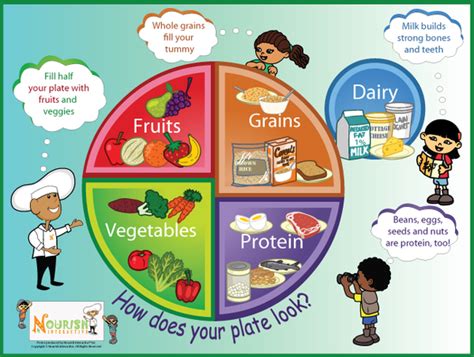 My Plate Five Food Groups Poster Nourish Interactive Nutrition