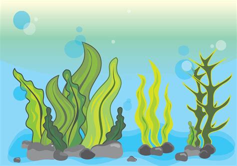 Seaweed Illustration Scene Underwater Vector Art At Vecteezy My XXX Hot Girl
