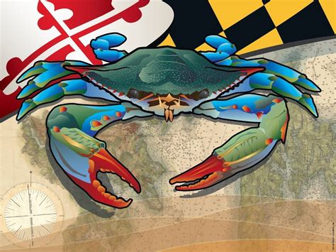 Maryland Blue Crab Art Print By Joe Barsin 16x12 Crab Art Blue