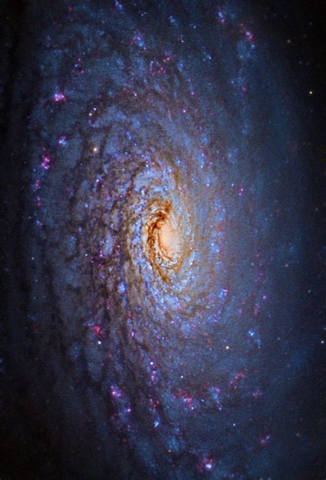 Billions And Billions M63 Sunflower Galaxy Messier 63 Is A Spiral
