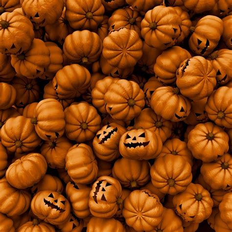44 Pumpkin Spice Wallpaper