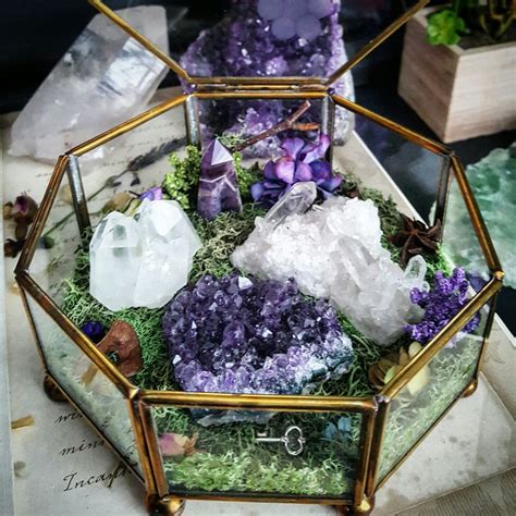 Terrarium Healing Crystals Terrarium Kit Glass Terrarium Etsy