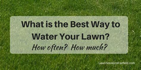 Best Way To Water Your Lawn Best Watering Practices In Fairfield