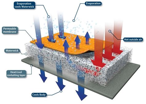 Inuteq Dry Evaporative Cooling Termowear Ropa Térmica Y Accesorios