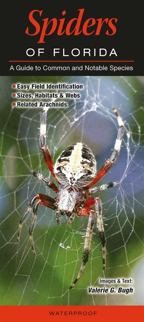 Spiders Of Florida Quick Reference Publishing