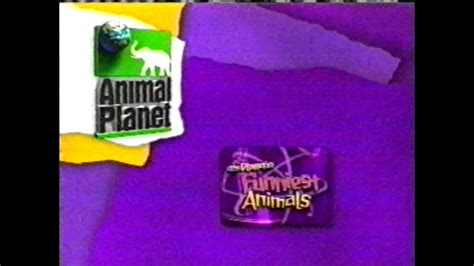 Animal Planet Commercials March 19 2001 Youtube