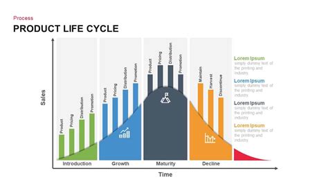 Emocional Accesible Rgano Digestivo Product Life Cycle Graph Cuenca Gobernador Casado