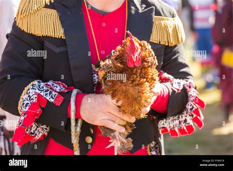A Cajun Mardi Gras Capitaine Holds A Live Chicken Before Throwing It