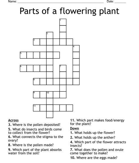 Swamp Plant Crossword