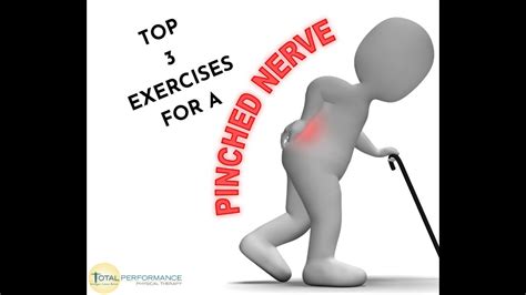 Top 3 Exercises For A Pinched Nerve Total Performance Physical