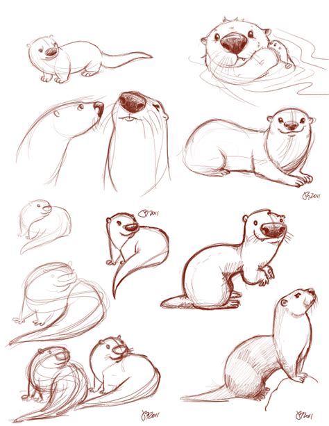 Otter Studies Animal Sketches Animal Drawings Drawing Sketches