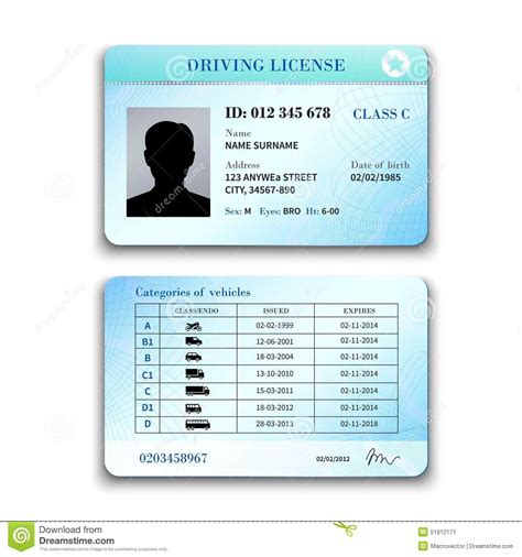 Driver License Illustration Stock Vector Illustration Of