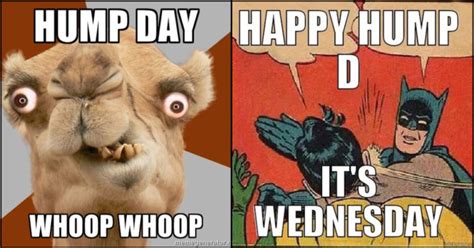 95 Funny Hump Day Memes That Are Too Much To Bear Geekser