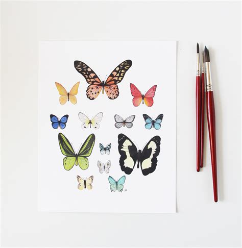 Watercolor Butterfly At Getdrawings Free Download