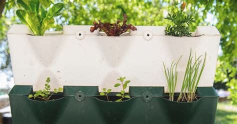 How to Start a DIY Vertical Garden (and 7 Ideas You Should Try)