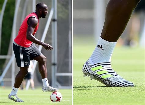David guzik commentary on leviticus 17 explains the prohibition of sacrifice outside of the tabernacle and the prohibition against eating blood. Romelu Lukaku kurz davor, zu Adidas zu gehen - Nur Fussball