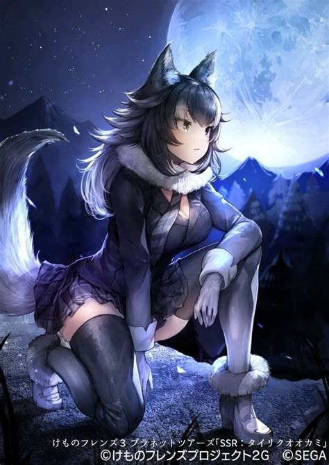 Anime Wolf Girl Kawaii Anime Girl Anime Art Girl Furry Wolf Furry