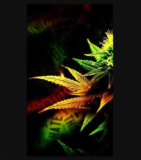 420 Hd Wallpaper For Your Android Phone Spliffmobile