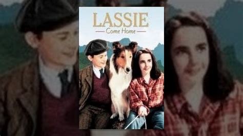 Lassie Tv Show Wallpapers Wallpaper Cave
