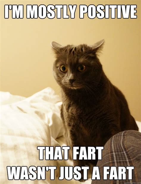 44 Funniest Fart Memes That Will Make You Laugh List Bark