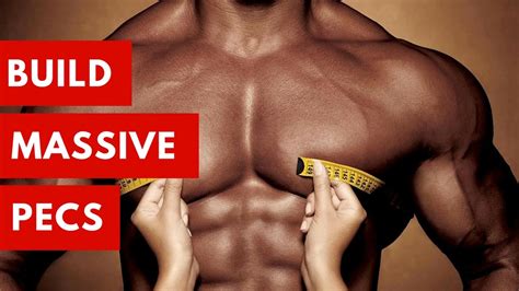 The Only Chest Exercises You Need For Massive Pecs Youtube