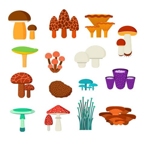 Mushrooms Vector Illustration Set Different Types Isolated On White