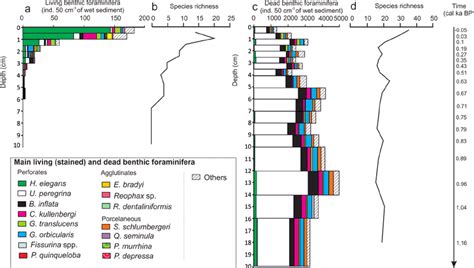 Benthic Foraminiferal Fauna Characteristics Of Core Fc Wh A