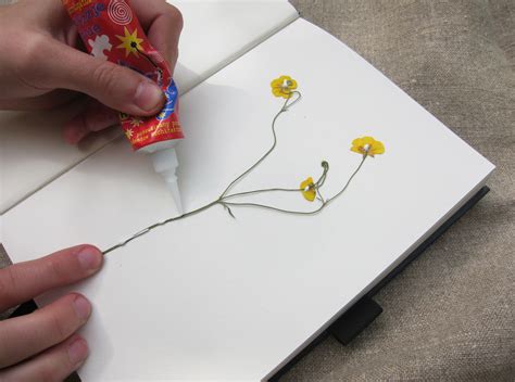 Rookie How To Press Flowers