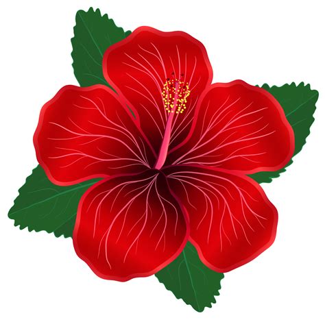 Free Red Flowers Cliparts Download Free Red Flowers Cliparts Png