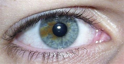 Brown Eyes Are Actually Blue Underneath The Brown And As A Result