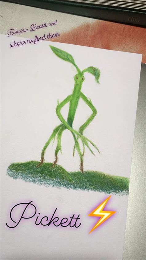 Pickett The Bowtruckle Drawing Rharrypotter