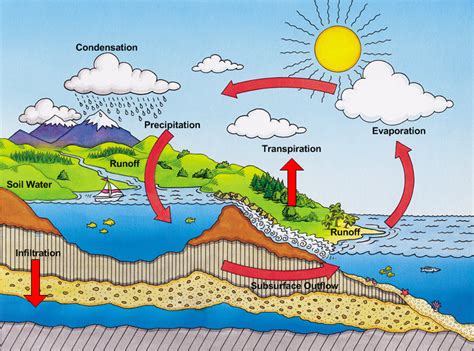 Consider a directed or undirected graph without loops and multiple edges. Water Cycle example
