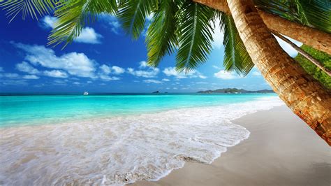 Sea Waves And Green Coconut Trees Beach Palm Trees Tropical